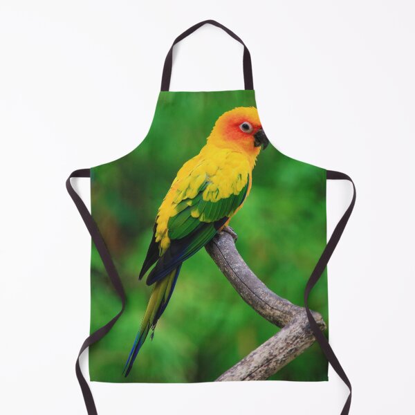 Item preview, Sun Conure Parrot Photo designed and sold by TheAnimalZ00.