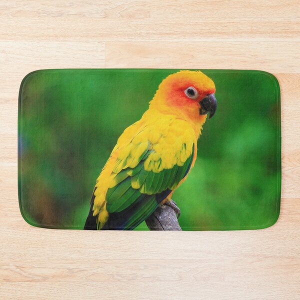 Item preview, Sun Conure Parrot Photo designed and sold by TheAnimalZ00.