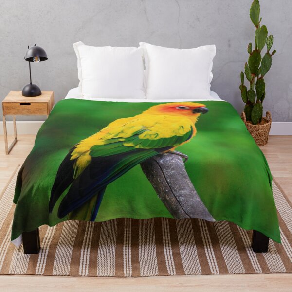 Item preview, Sun Conure Parrot Photo designed and sold by TheAnimalZ00.