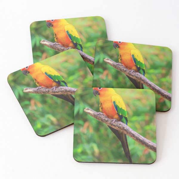 Item preview, Sun Conure Photo designed and sold by TheAnimalZ00.