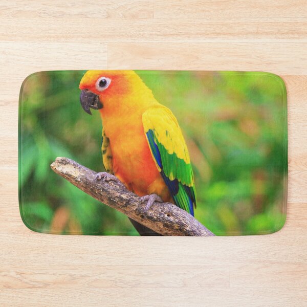 Item preview, Sun Conure Photo designed and sold by TheAnimalZ00.