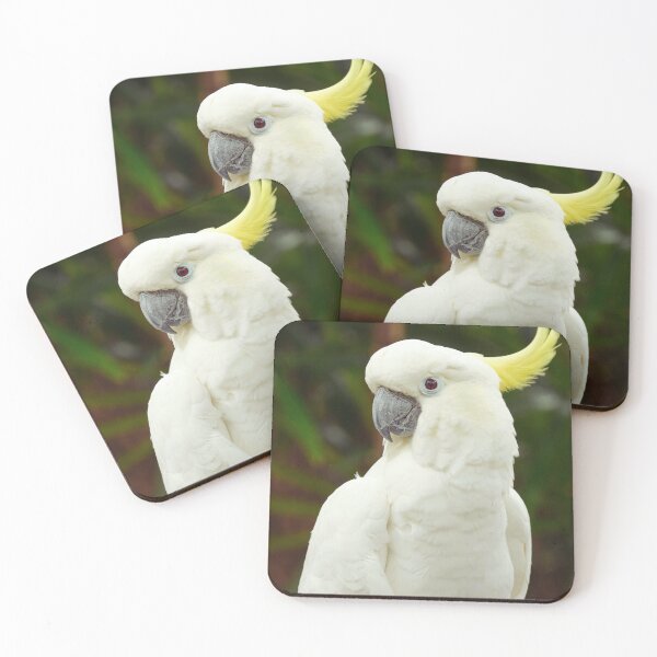 Item preview, Cockatoo Photo designed and sold by TheAnimalZ00.