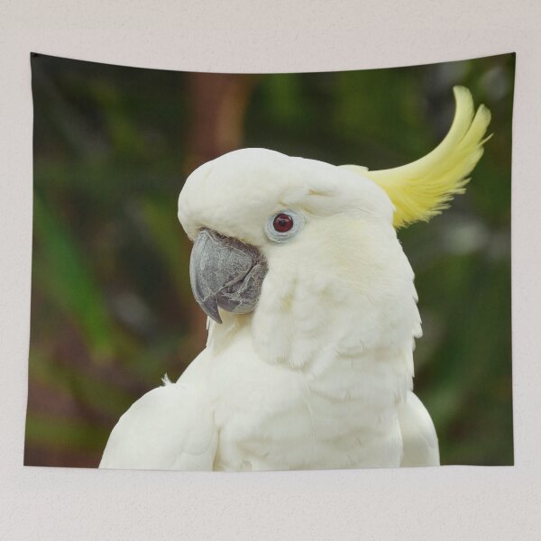 Item preview, Cockatoo Photo designed and sold by TheAnimalZ00.
