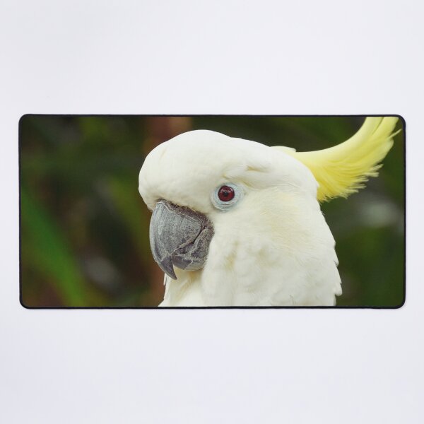 Item preview, Cockatoo Photo designed and sold by TheAnimalZ00.