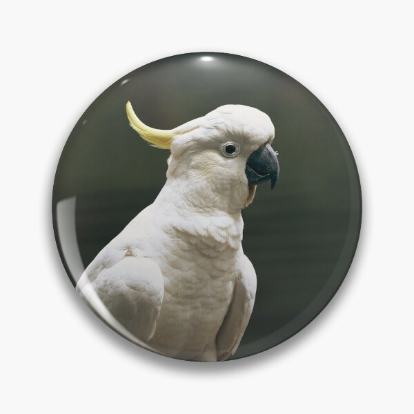 Item preview, Cockatoo  designed and sold by TheAnimalZ00.