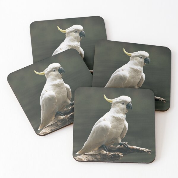 Item preview, Cockatoo  designed and sold by TheAnimalZ00.