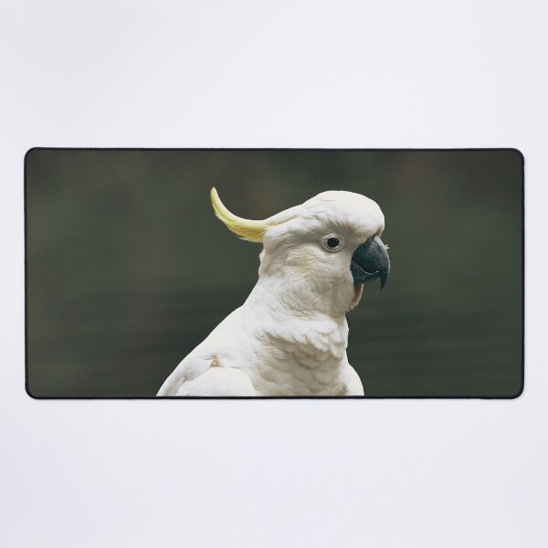 Item preview, Cockatoo  designed and sold by TheAnimalZ00.