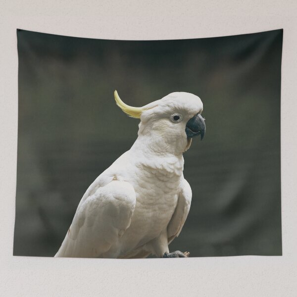 Item preview, Cockatoo  designed and sold by TheAnimalZ00.