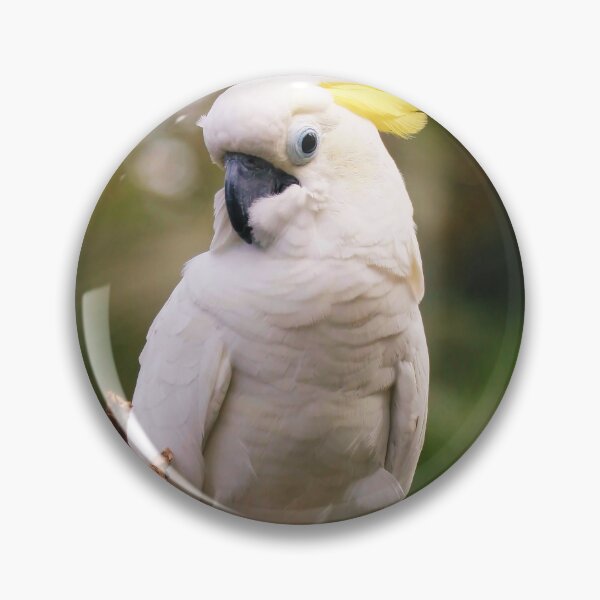 Item preview, Cockatoo Bird designed and sold by TheAnimalZ00.