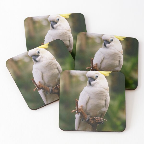 Item preview, Cockatoo Bird designed and sold by TheAnimalZ00.