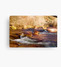 Oak Creek | Sedona, Arizona Metal Print