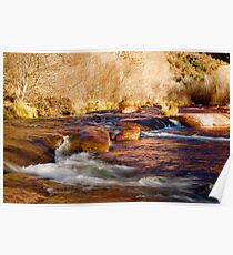 Oak Creek | Sedona, Arizona Poster