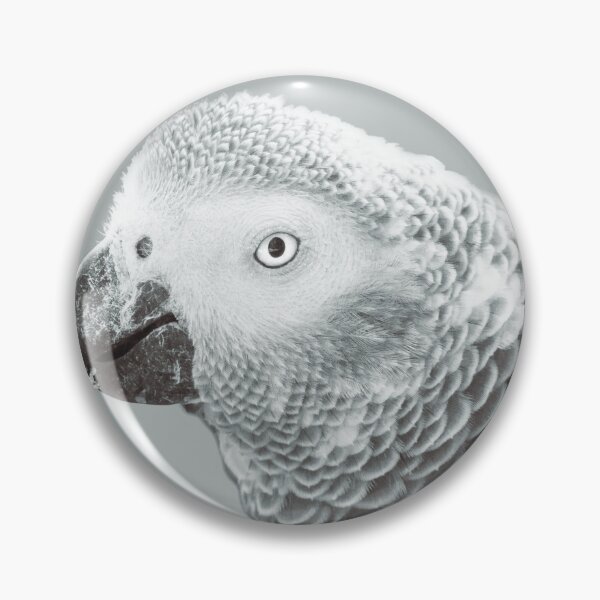 Item preview, African Grey Parrot Photo designed and sold by TheAnimalZ00.