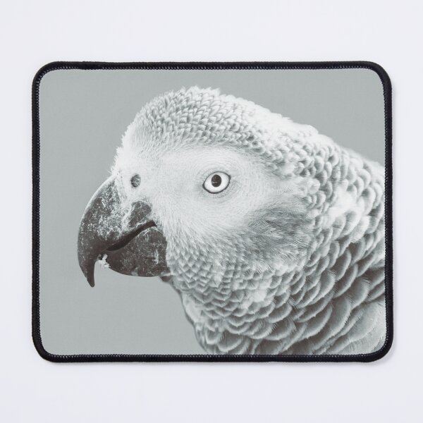 Item preview, African Grey Parrot Photo designed and sold by TheAnimalZ00.