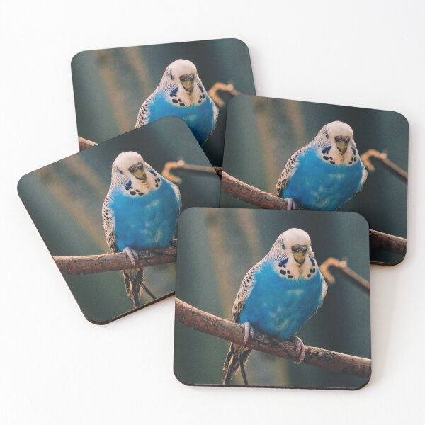 Item preview, Blue Budgie Photo designed and sold by TheAnimalZ00.