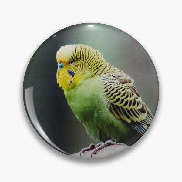 Item preview, Green Budgie Photo designed and sold by TheAnimalZ00.