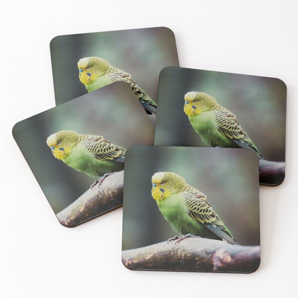 Item preview, Green Budgie Photo designed and sold by TheAnimalZ00.