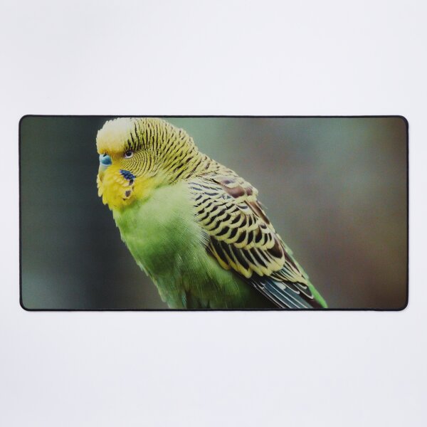 Item preview, Green Budgie Photo designed and sold by TheAnimalZ00.