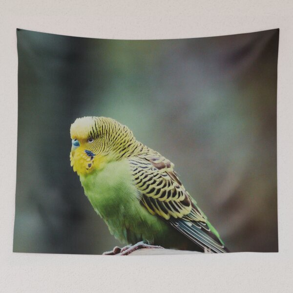 Item preview, Green Budgie Photo designed and sold by TheAnimalZ00.