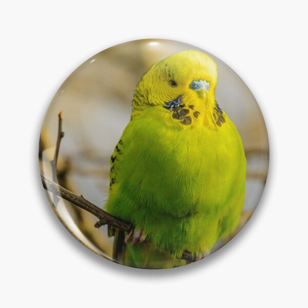 Item preview, Green Budgie Parakeet designed and sold by TheAnimalZ00.