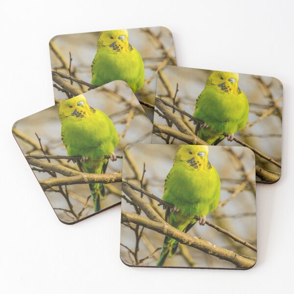 Item preview, Green Budgie Parakeet designed and sold by TheAnimalZ00.