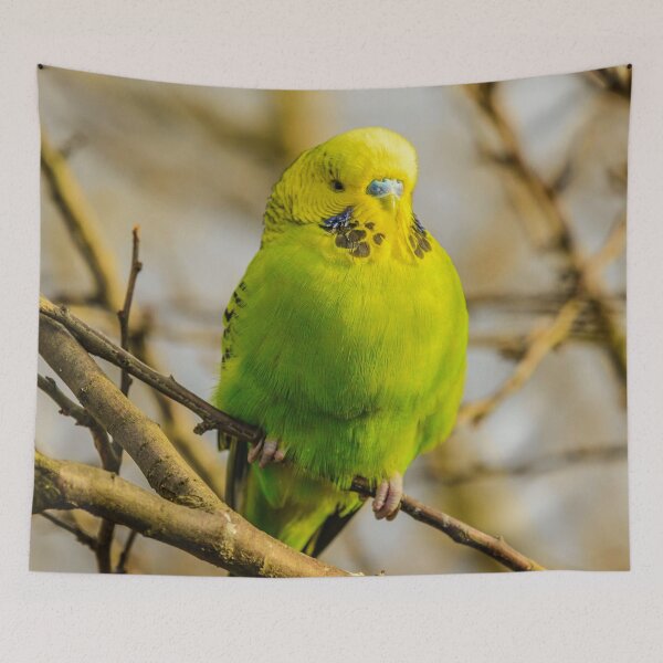 Item preview, Green Budgie Parakeet designed and sold by TheAnimalZ00.