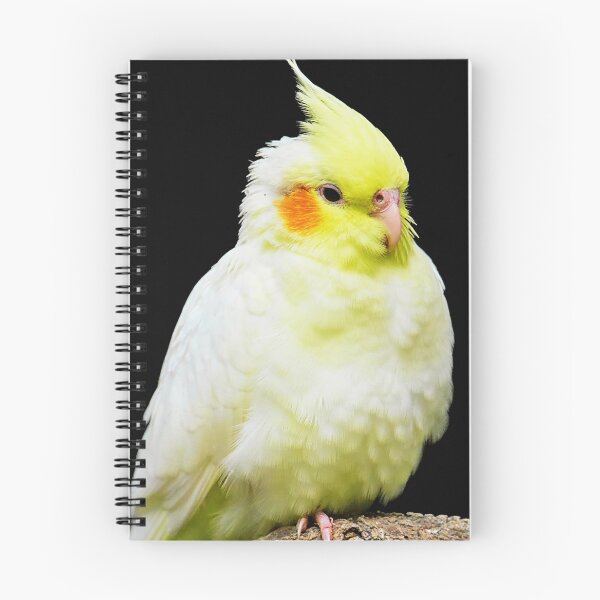 Item preview, Cockatiel Bird designed and sold by TheAnimalZ00.