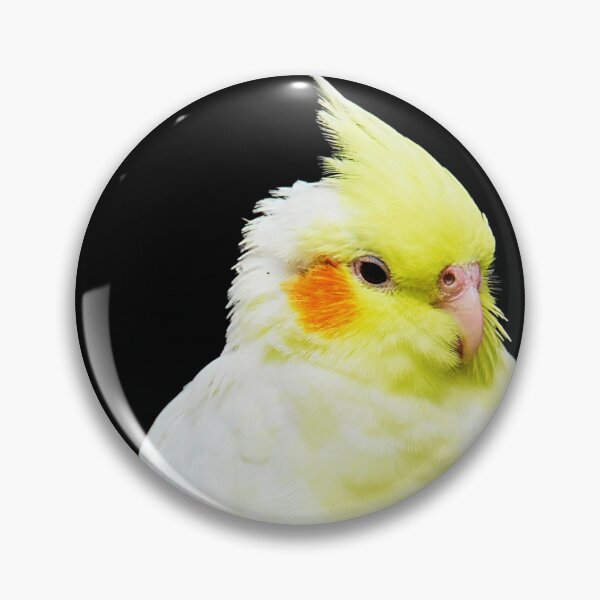 Item preview, Cockatiel Bird designed and sold by TheAnimalZ00.