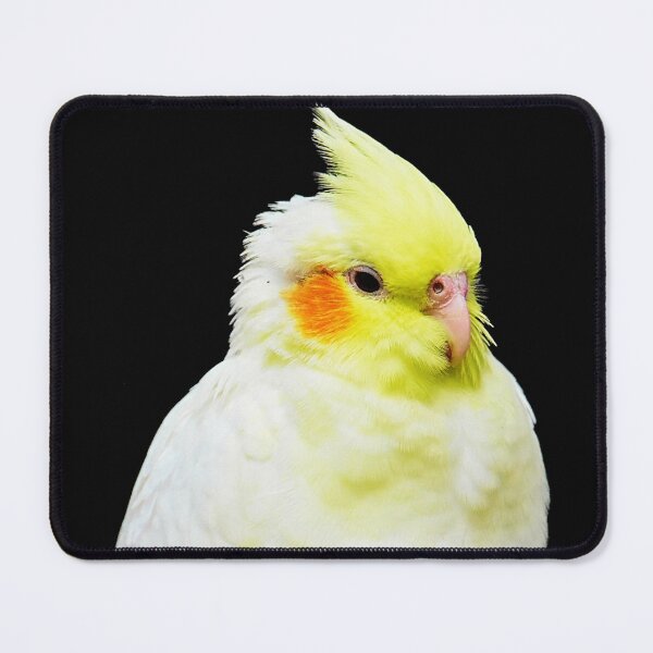 Item preview, Cockatiel Bird designed and sold by TheAnimalZ00.