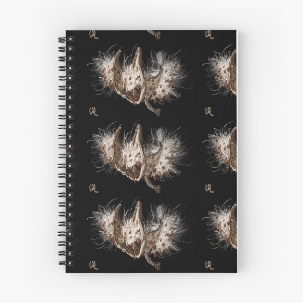 Item preview, Milkweed seed pods  designed and sold by MMdesign22.