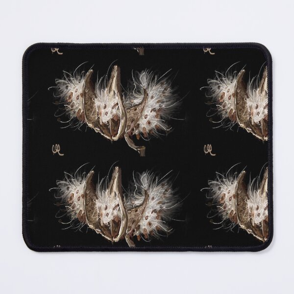 Item preview, Milkweed seed pods designed and sold by MMdesign22.