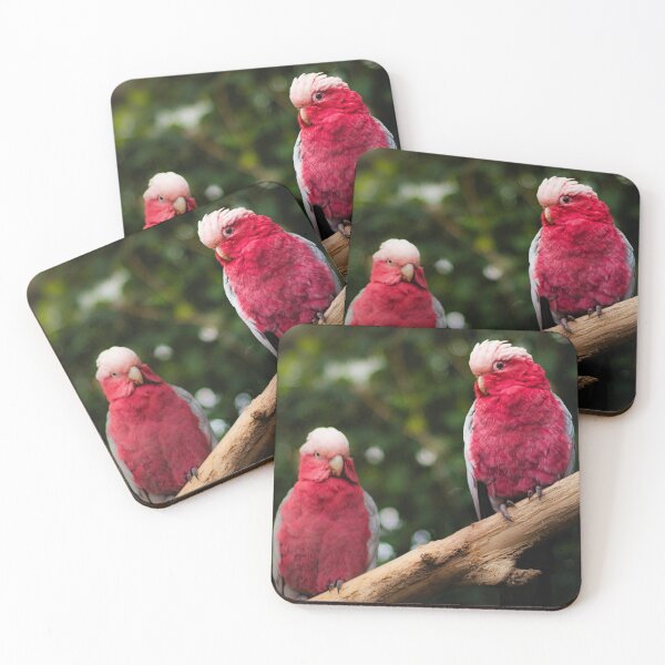 Item preview, Galah Cockatoo Birds designed and sold by TheAnimalZ00.