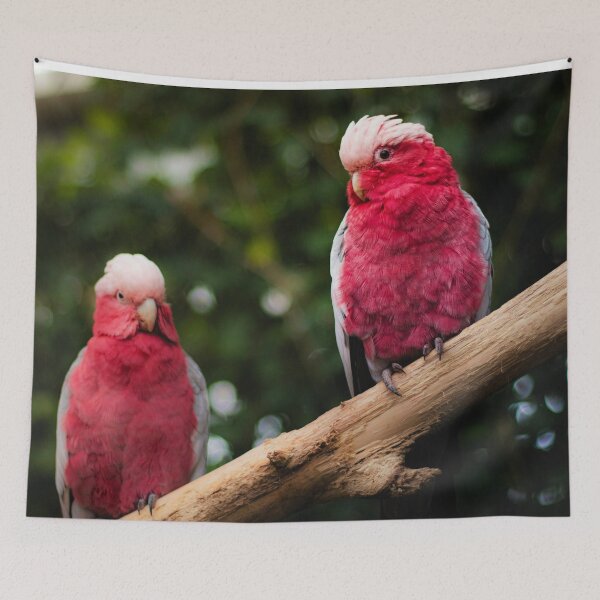 Item preview, Galah Cockatoo Birds designed and sold by TheAnimalZ00.