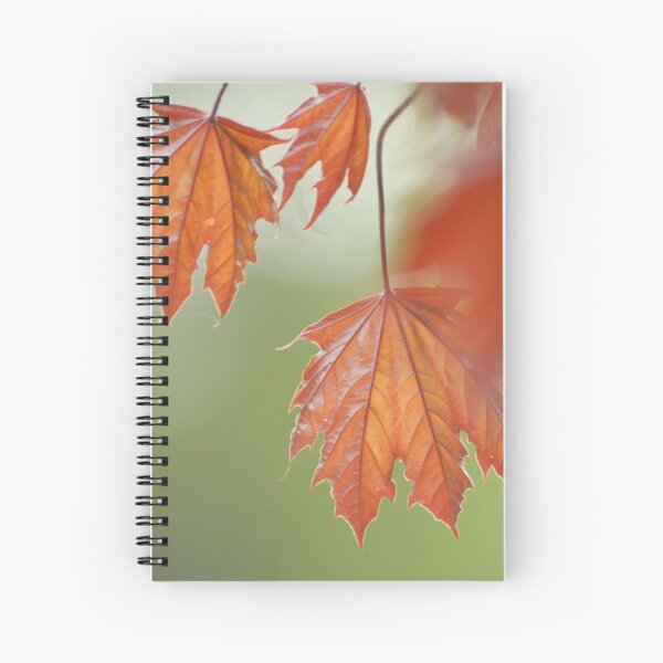 Autumn Leaves #3 Spiral Notebook