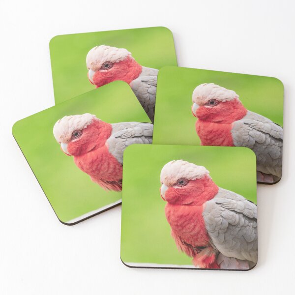 Artikelvorschau, Galah-Kakadu entworfen und verkauft von TheAnimalZ00.