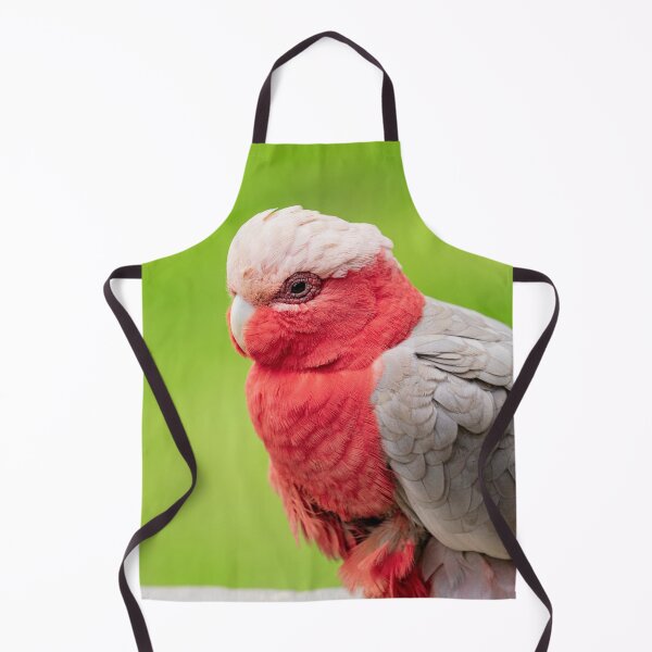 Artikelvorschau, Galah-Kakadu entworfen und verkauft von TheAnimalZ00.