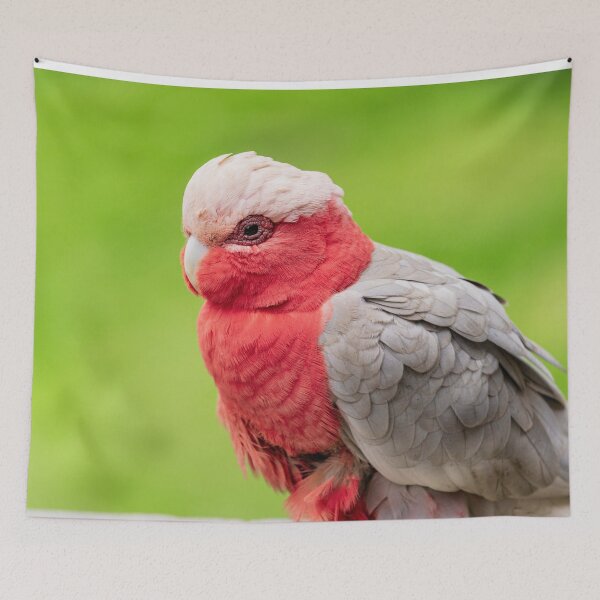 Item preview, Galah Cockatoo  designed and sold by TheAnimalZ00.