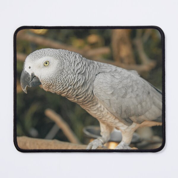Item preview, African Grey Parrot  designed and sold by TheAnimalZ00.