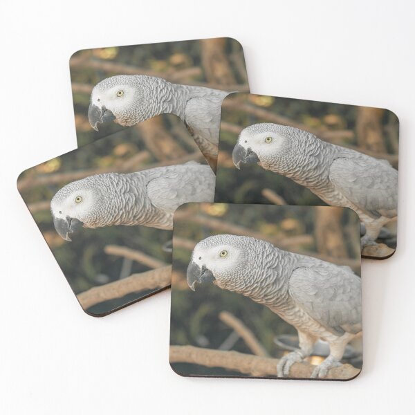 Item preview, African Grey Parrot  designed and sold by TheAnimalZ00.