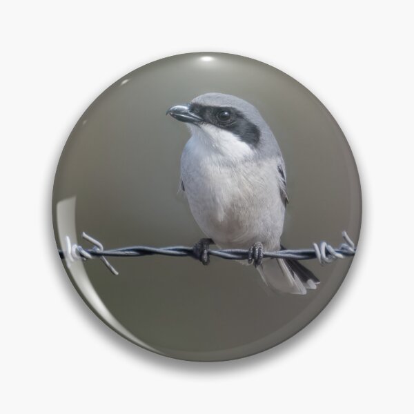 Item preview, Loggerhead Shrike designed and sold by tracyam.