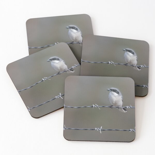 Item preview, Loggerhead Shrike designed and sold by tracyam.
