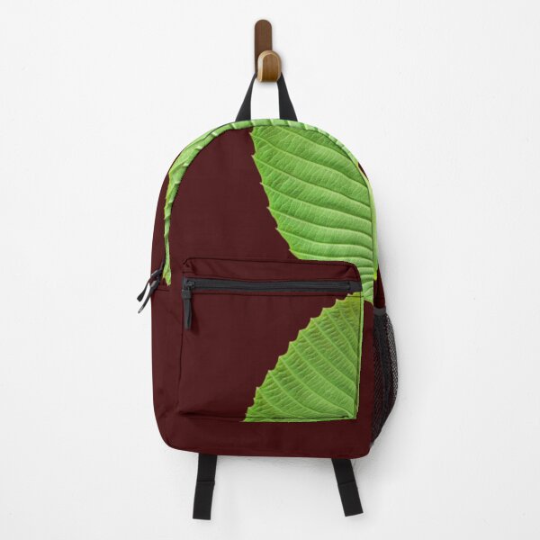 Item preview, green leaves, one leaves, beautiful leaf, leaves of Dillenia obovate (Blume) Hoogland, simpoh leaves (Dillenia suffruticosa, simpoh air) designed and sold by MiMee4451.