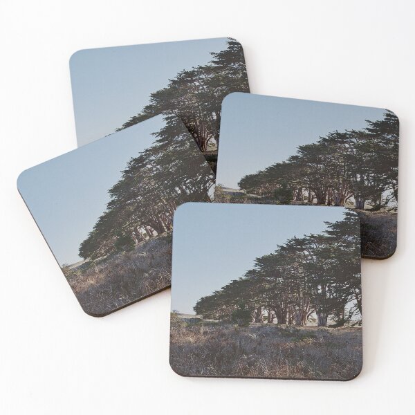 Item preview, trees at point reyes designed and sold by Ronifish.