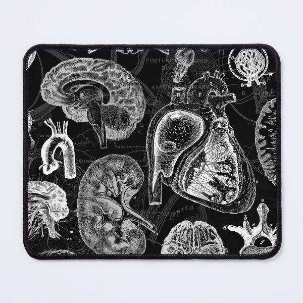 Item preview, Human Anatomy designed and sold by hannahgre6.