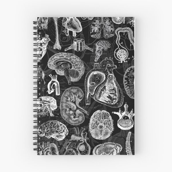 Item preview, Human Anatomy designed and sold by hannahgre6.