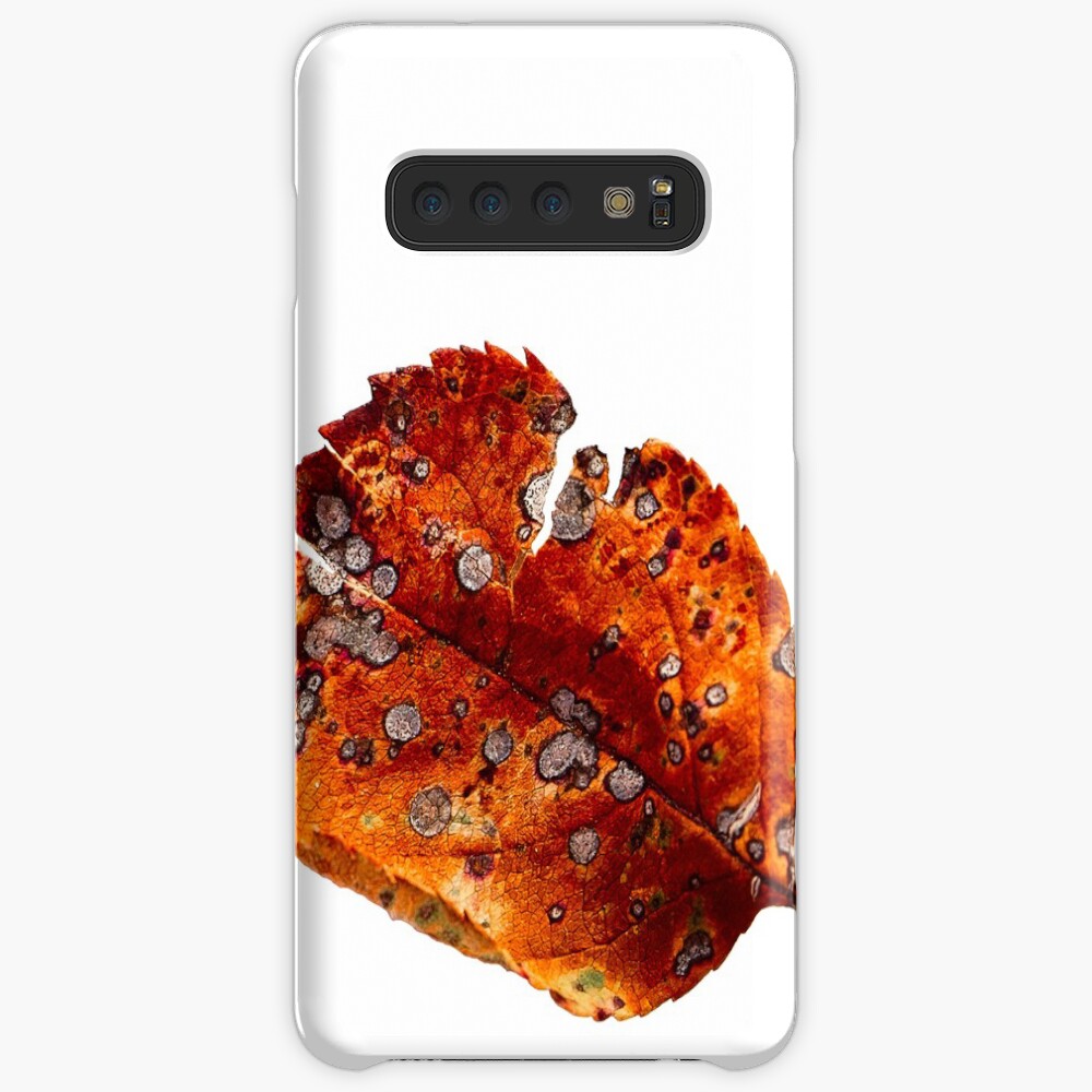 Autumn Leaf 2 Case & Skin for Samsung Galaxy