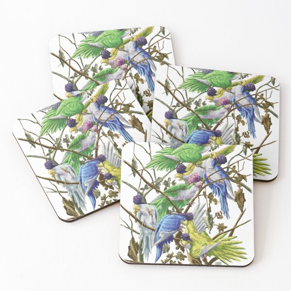 Item preview, Audubon's Squawkabilly designed and sold by Daniel Swain Creations.