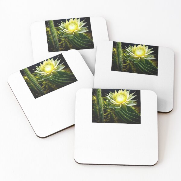 Item preview, Night Blooming Cereus, Cactus Flower designed and sold by nicheteees.