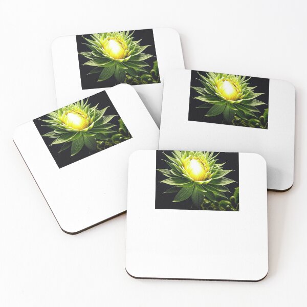 Item preview, Night Blooming Cereus, Cactus Flower designed and sold by nicheteees.