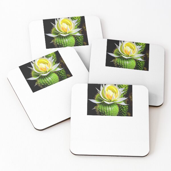 Item preview, Night Blooming Cereus, Cactus Flower designed and sold by nicheteees.